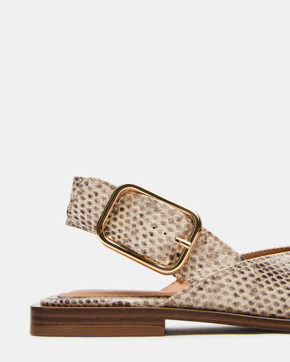 SHAY Snake Pointed-Toe Slingback Ballet Women's Flat