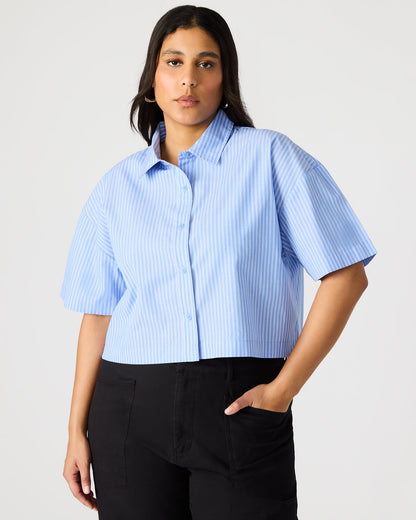 TULA Blue/White Women's Collared Button-Up Pinstripe Top